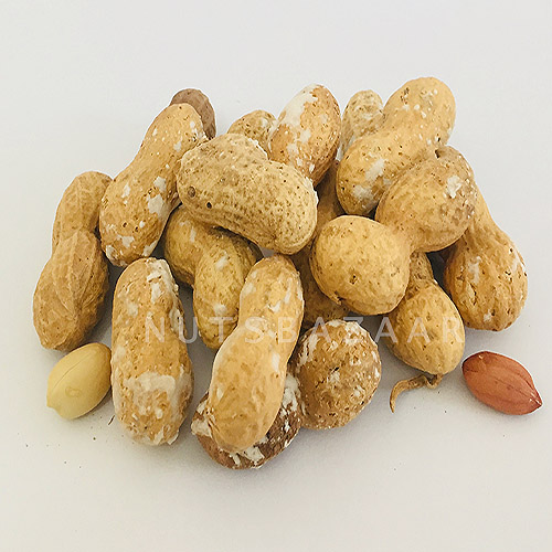 بادام زمینی با پوست قیمت عمده فروش خشکبار بازار آجیل peanuts price wholesale