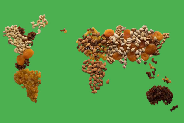 صادرات خشکبار nuts Dried fruits-supplier