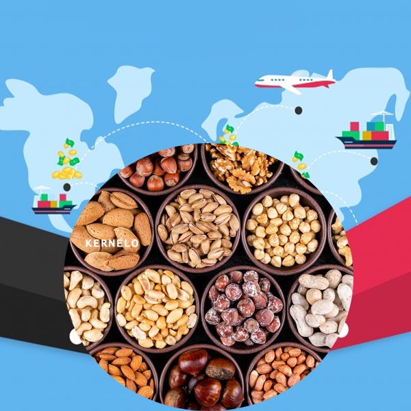 صادرات خشکبار ایران بازار عمده ناتس کالا کرنلو nuts export iran wholesale