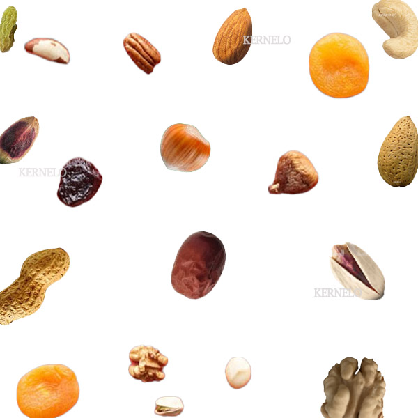 صادرات خشکبار nuts supplier
