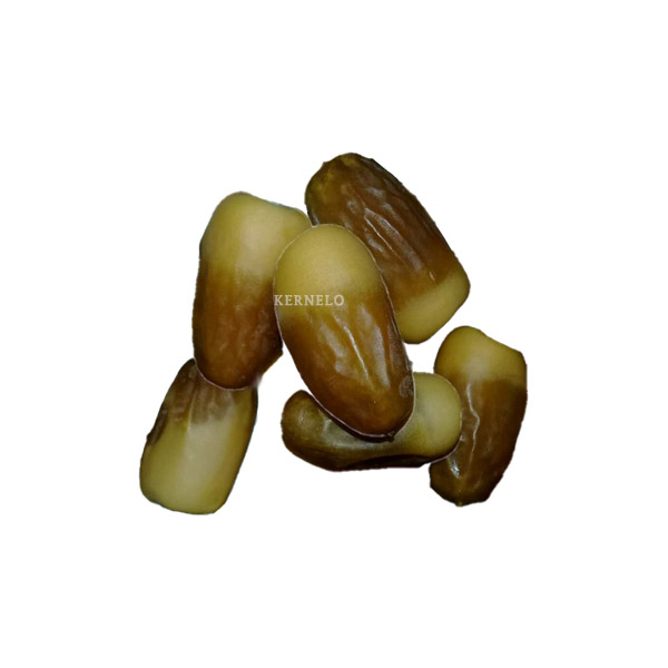 آل مهتری خرما انواع خرما