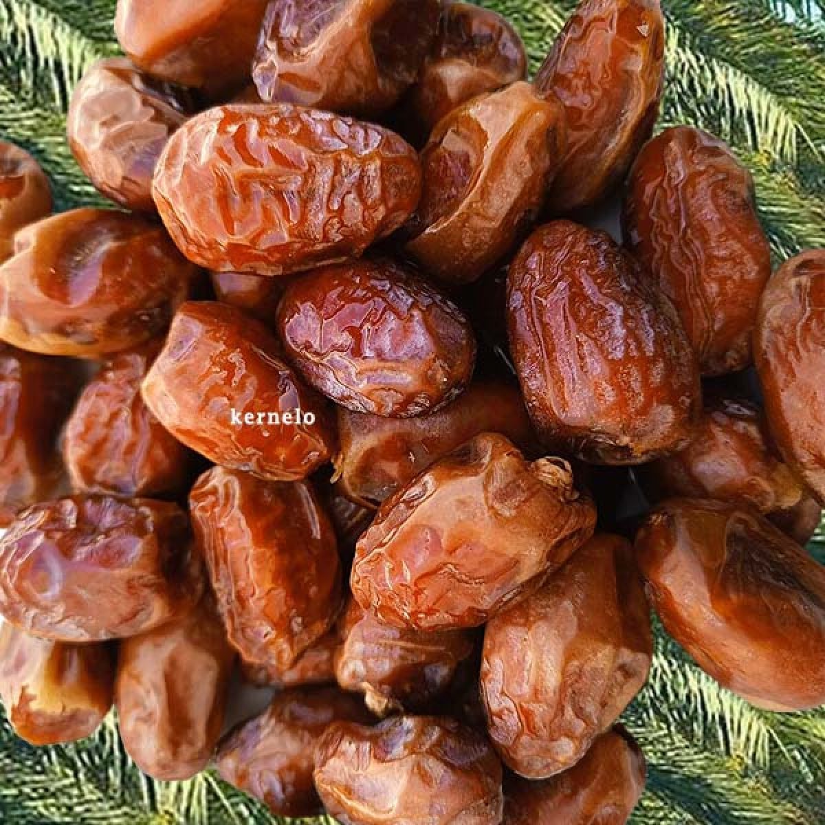 قیمت خرید خرما خضراوی