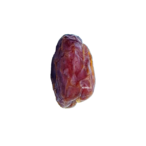 قیمت خرما مردا سنگ