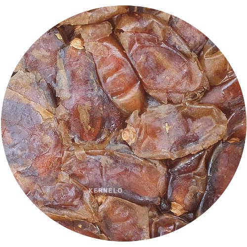 قیمت خرما شاهانی عمده صادراتی در بازار shahani dates wholesale price bulk