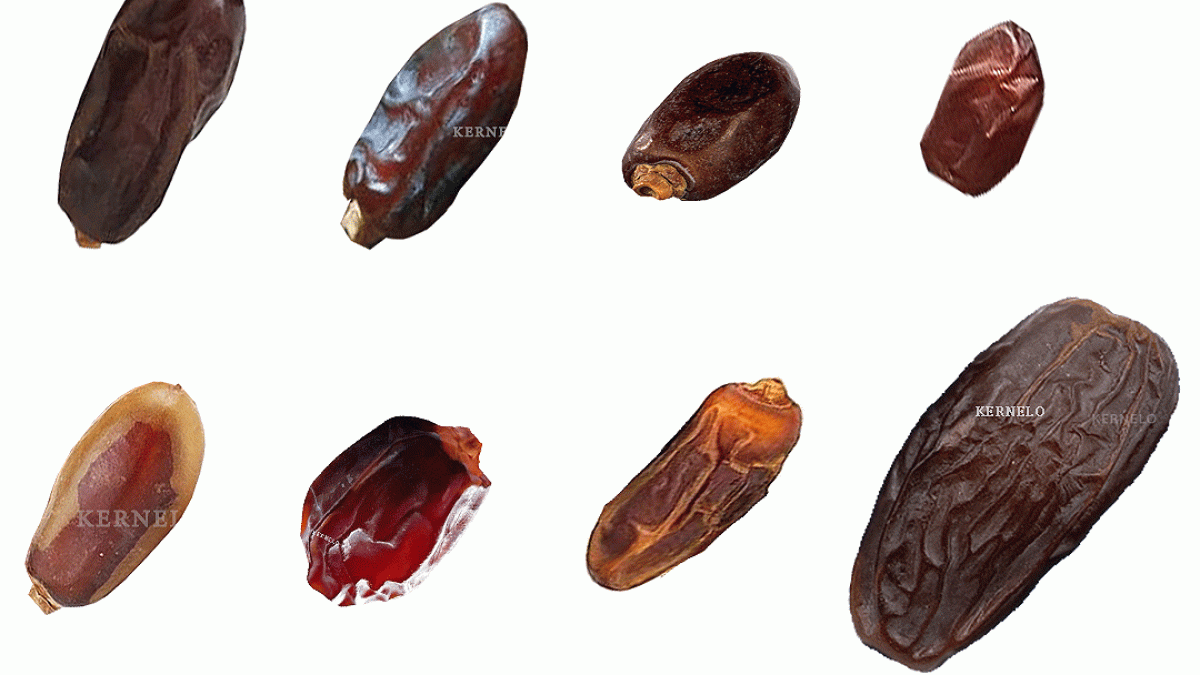 محصولات خرما و خشکبار