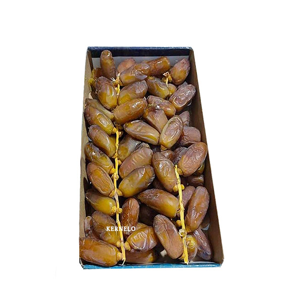 قیمت خرید انواع خرما دگلت نور صادراتی Deglet noor dates wholesale 