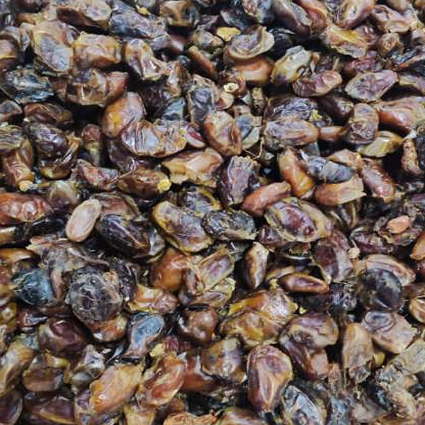 قیمت خرید فروش خرما آبگیری ضایعاتی عمده 5 کیلویی