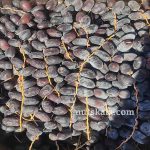 خرما مضافتی عمده خوشه ای خرید فروش در بازار عمده با قیمت روز 