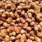 خرید فروش خرما زاهدی عمده قیمت عمده فروشی