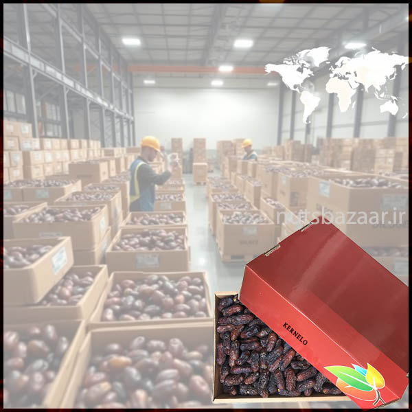 صادرات انواع محصولات خرما قیمت خرید عمده