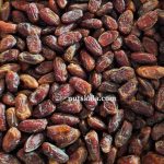 فروش خرما شهابی عمده