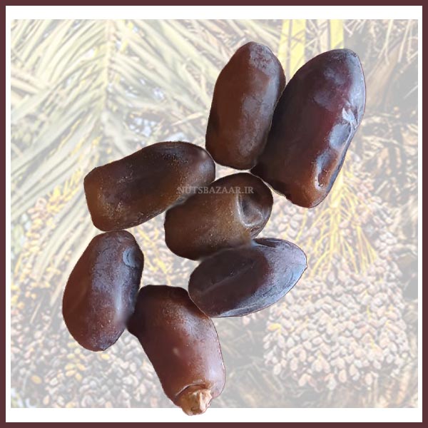 قیمتخرید خرما استعمران عمده صادرات رطب سایر