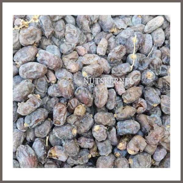 خرید خرما ضایعاتی عمده بازار آنلاین عمده فروشی dates for animal feed