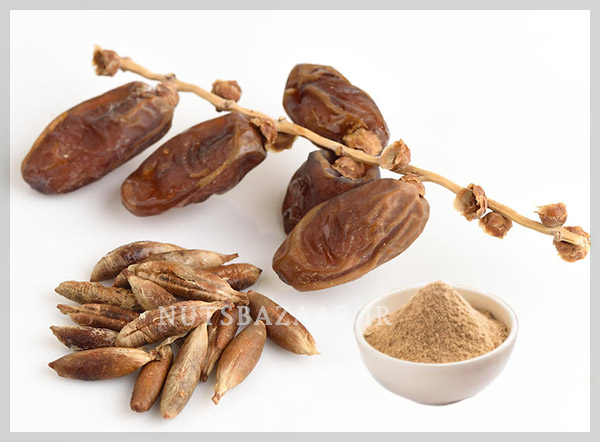 قیمت عمده پودر هسته خرما date seed powder