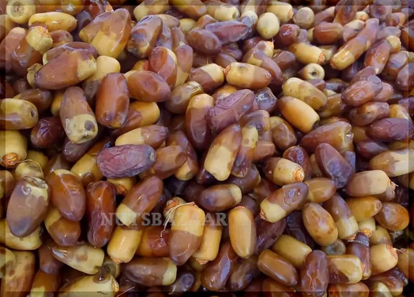 خرما آل مهتری