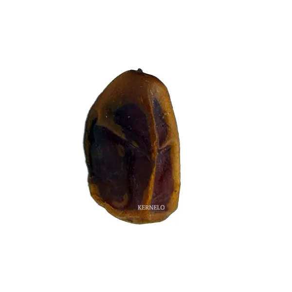 خرما کبکاب Kabkab dates