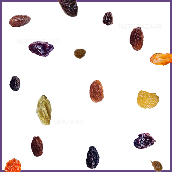 قیمت عمده صادرات کشمش raisin wholesale type bulk price