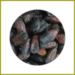 قیمت خرما نگار عمده