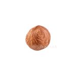 قیمت مغز فندق خام عمده hazelnuts wholesale