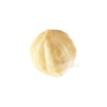 قیمت مغز فندق پوست کنده سفید عمده blanched hazelnut kernel
