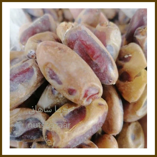 خرما شاهانی استان فارس