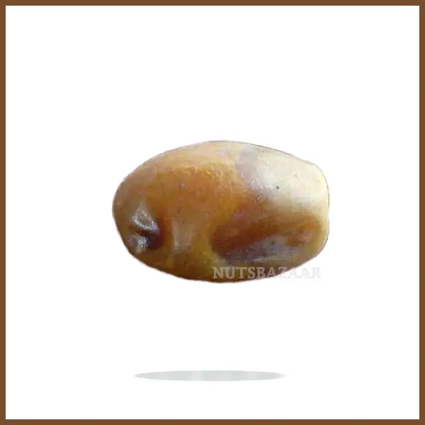 خرما گوردیال چیست