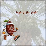 اخبار بازار خرما 1404 قیمت عمده