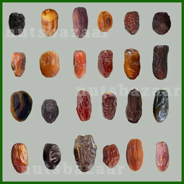 مقایسه و تفاوت انواع خرما Dates type