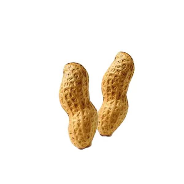 قیمت خرید فروش عمده بادام زمینی با پوست