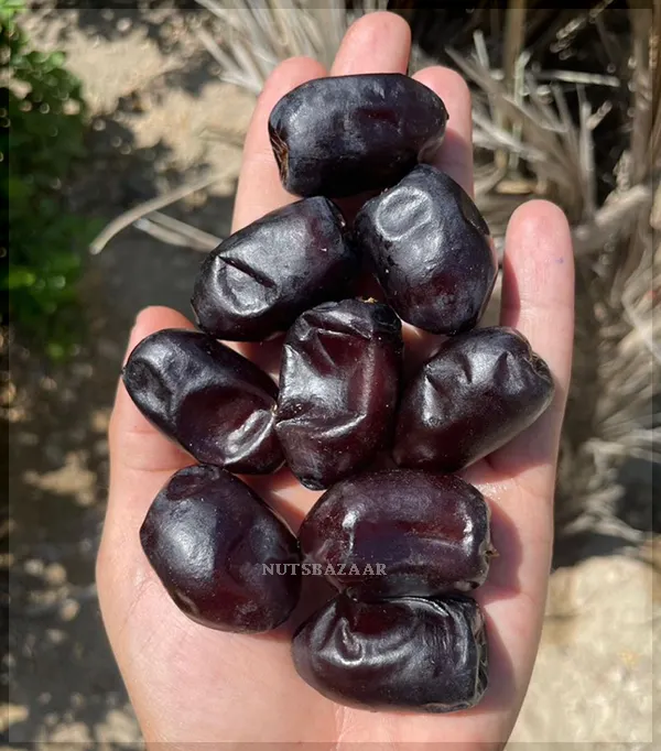 خرما مضافتی کارتنی
Mazafati Dates
