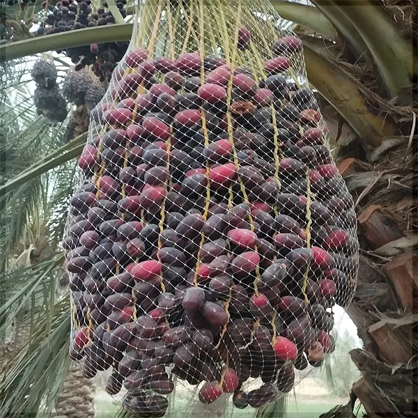 قیمت مضافتی عمده