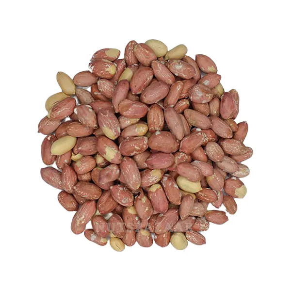 مغز بادام زمینی عمده قیمت خرید فروش