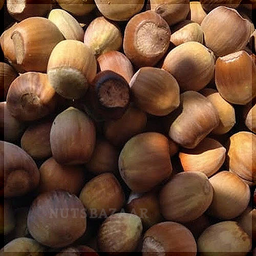 پوست فندق عمده تهران