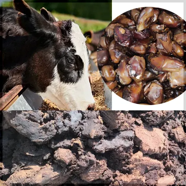 تفاله خرما عمده