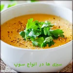 انواع سوپ و سبزیجات خشک قیمت خرید فروش عمده